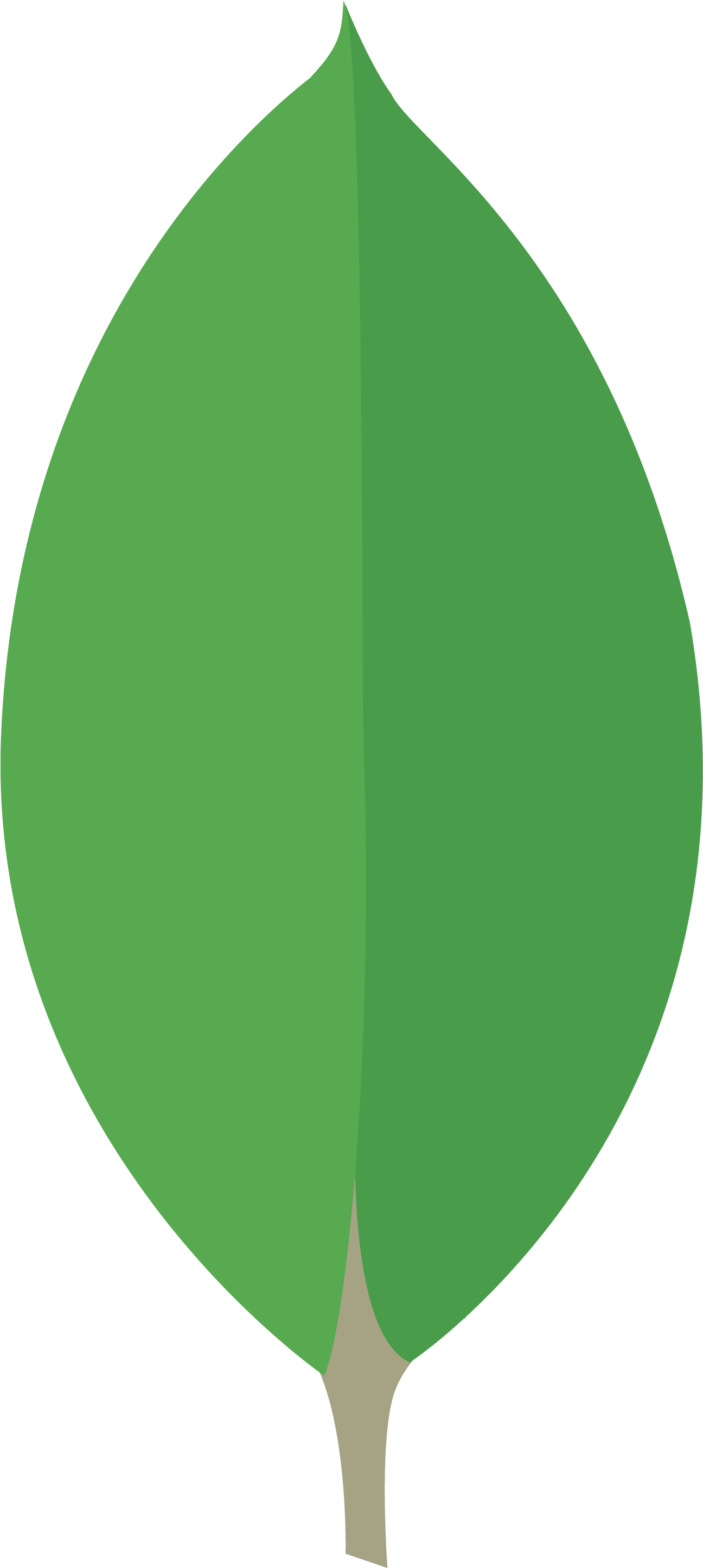 MongoDB Logo